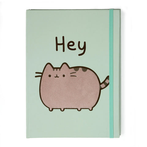 Hey Pusheen Journal